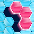 Block! Hexa Puzzle™5.0.9