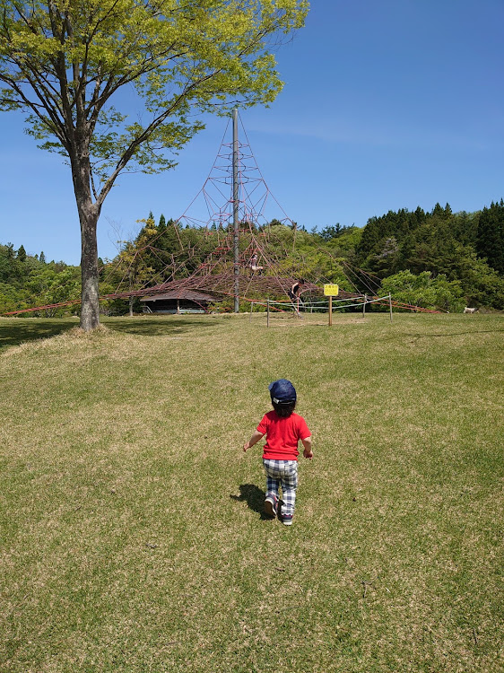 の投稿画像3枚目