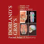 Cover Image of Baixar Atlas de Anatomia de Bolso de Gray de Dorland 8.0.249 APK