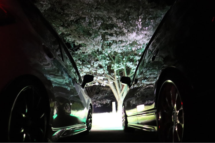 オデッセイのオデッセイRB1・夜桜コラボ・NISMO・一眼に関するカスタム事例の投稿画像1枚目
