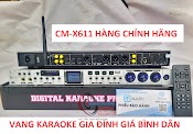 Vang Chống Hú - Vang Bluetooth Reverb - Vang Cm Audio X611 - Hàng Chính Hãng