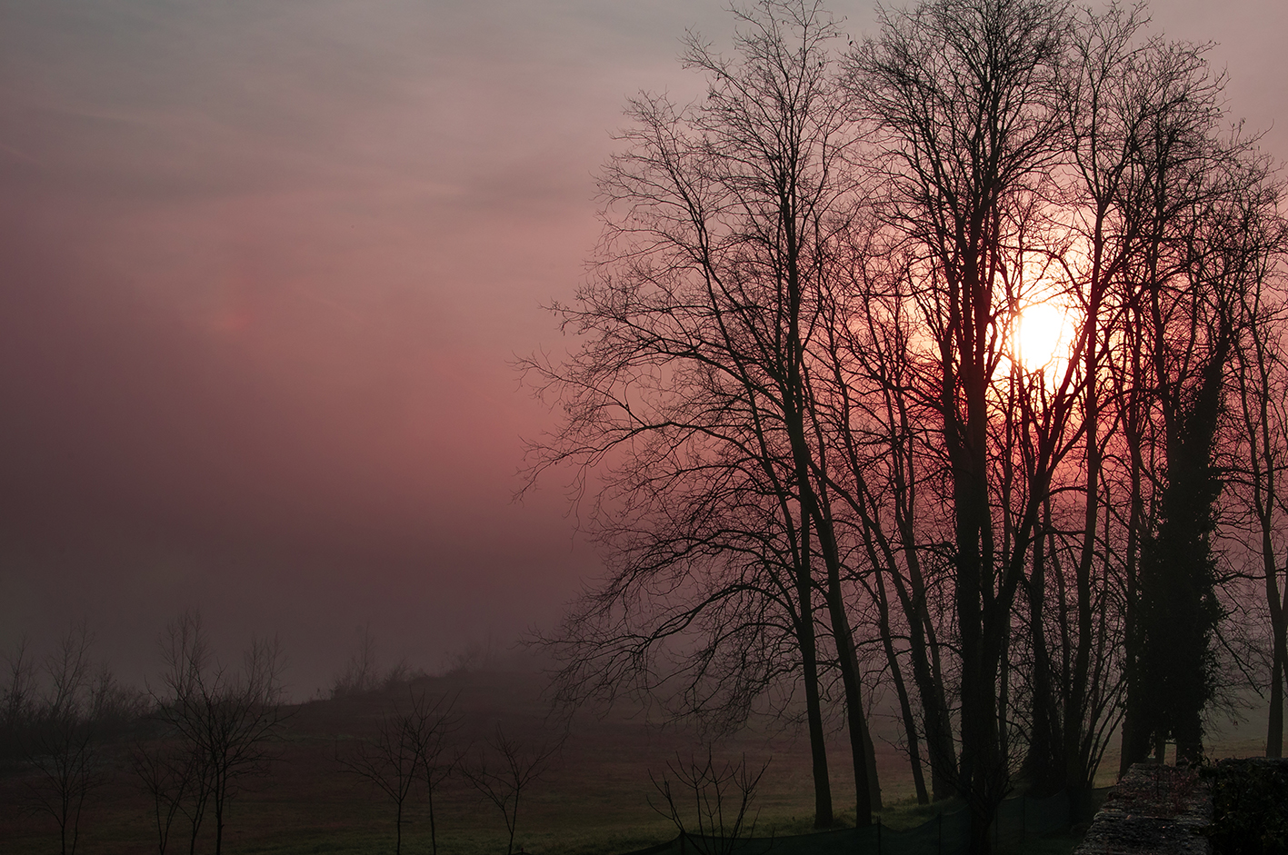 Tra nebbia e foschia di AndreaRisi