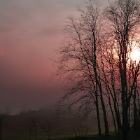 Tra nebbia e foschia di 