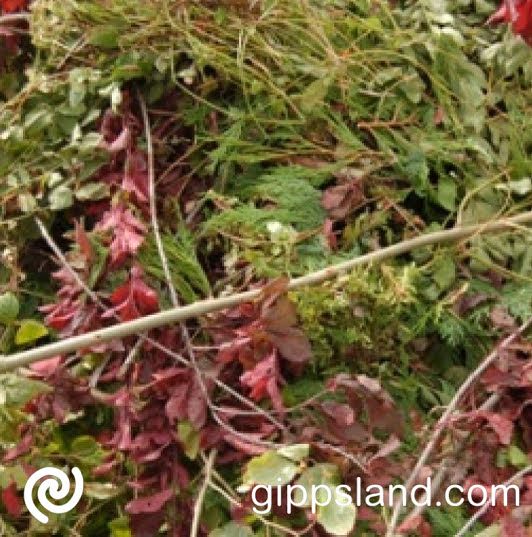 Green waste amnesty period from the Saturday prior to Melbourne Cup through to the end of December, residents can dispose of green waste free of charge