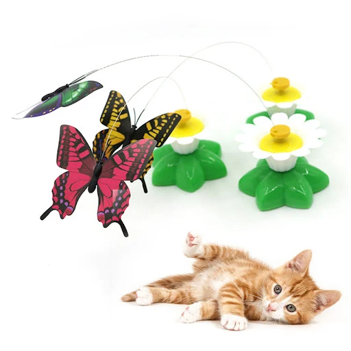 images slider number - 4