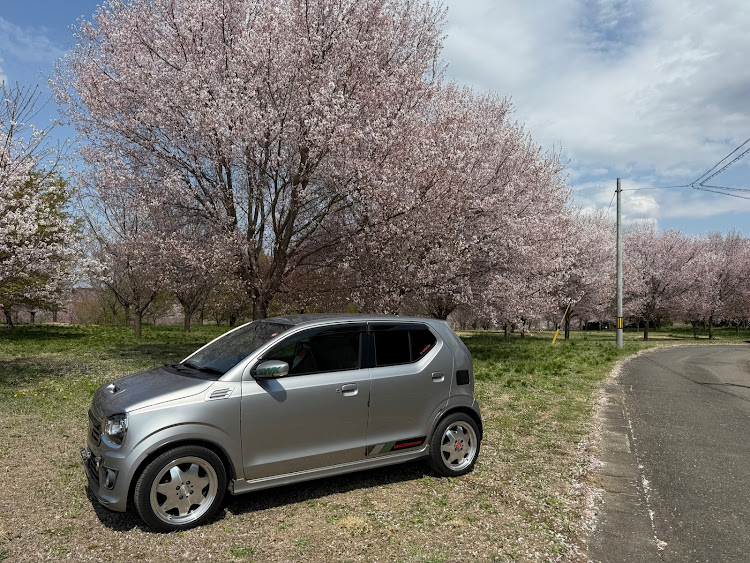 アルトワークスの春の風物詩と愛車に関するカスタム事例の投稿画像2枚目