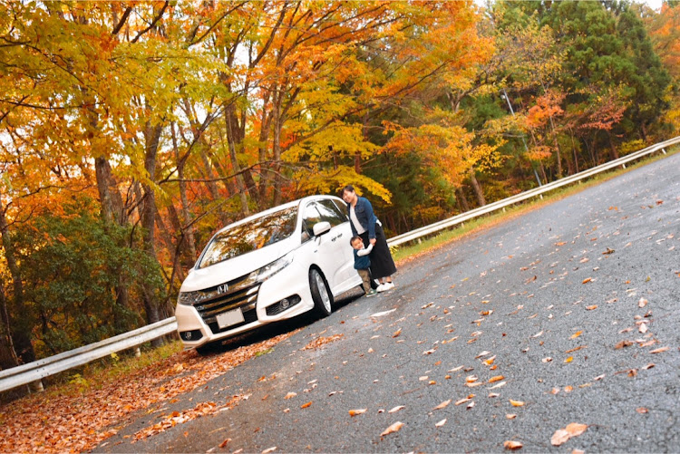 オデッセイの家族サービス・あぶくま洞・紅葉と愛車に関するカスタム事例の投稿画像5枚目