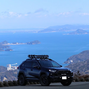 RAV4 MXAA52