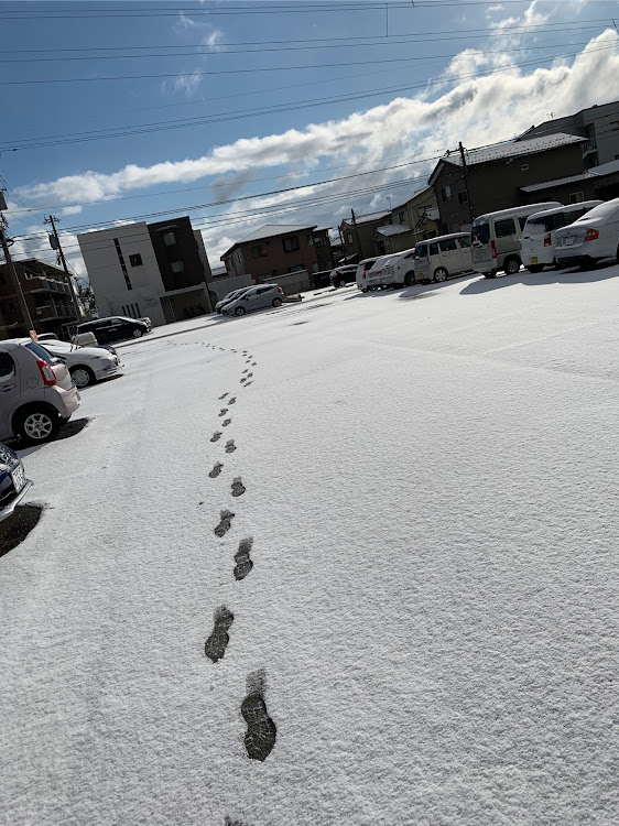 の投稿画像2枚目