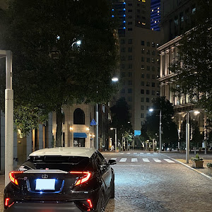 C-HR NGX50