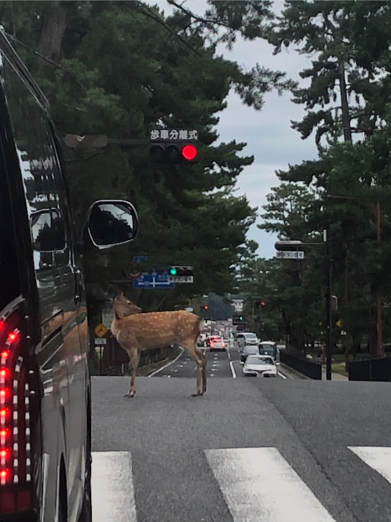 の投稿画像3枚目