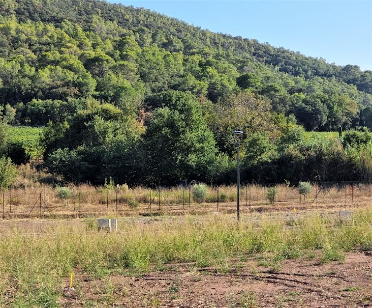 Vente terrain  465 m² à Pierrefeu-du-Var (83390), 223 000 €