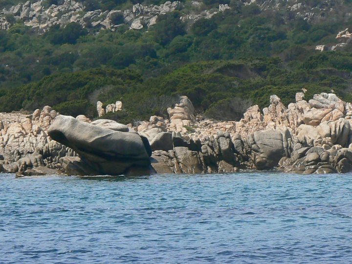 Coccodrillo di mare di ziofranky