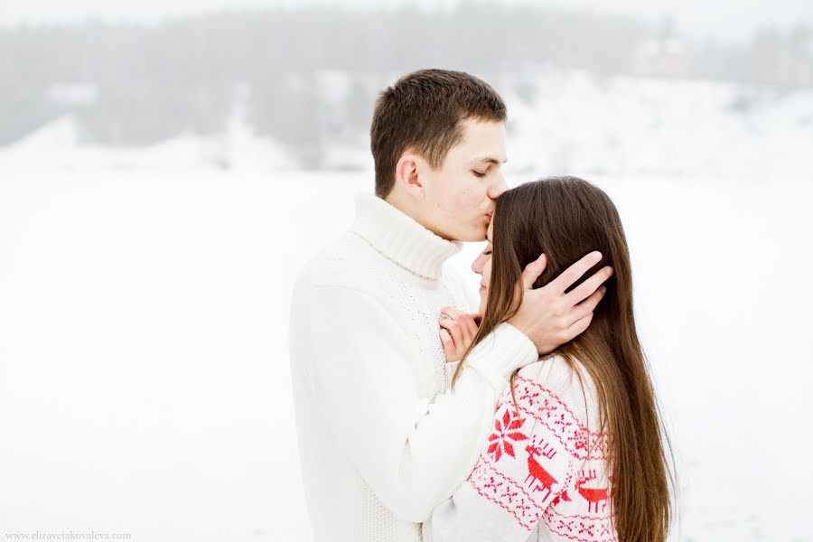 Svadobný fotograf Elizaveta Kovaleva (weddingingerman). Fotografia publikovaná 15. januára 2014