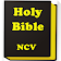 Bible  icon