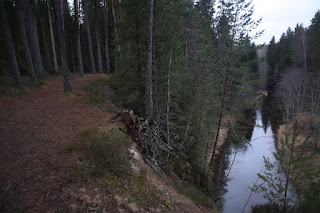 Ahja jõgi Ussiloosku mäelt