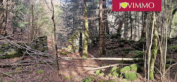 terrain à Bagneres-de-luchon (31)