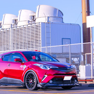 C-HR NGX50