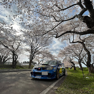 インプレッサ WRX STI