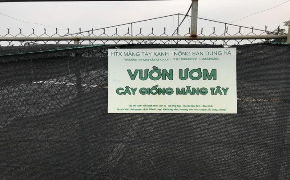 Mặt hàng nông sản Việt Nam đang dần có chỗ đứng trên khu vực và quốc tế