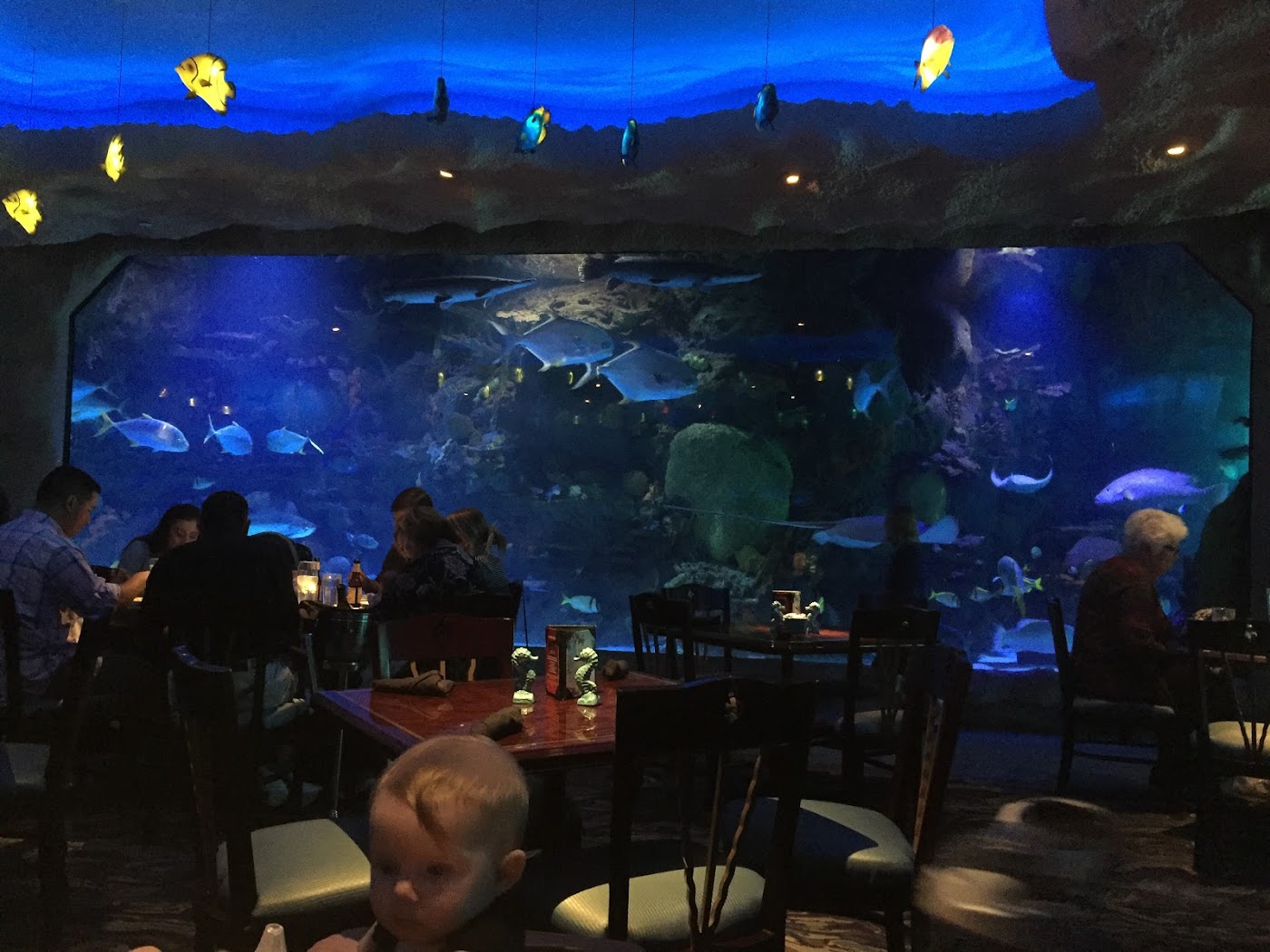 Downtown Aquarium Gluten-Free - Houston - 2022