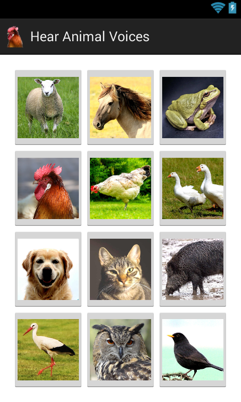 Hear Animal Voices Screen 3