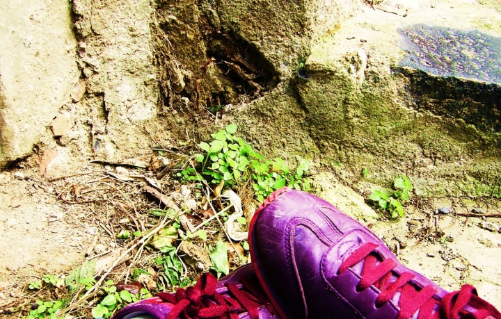 Shoes purple di argimusco