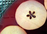 Apple Orchard Punch was pinched from <a href="http://allrecipes.com/Recipe/Apple-Orchard-Punch/Detail.aspx" target="_blank">allrecipes.com.</a>