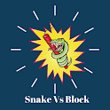 Snake Vs Block: Break the bric