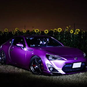 86 ZN6