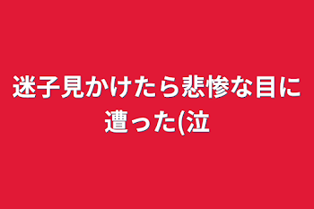 迷子見かけたら悲惨な目に遭った(泣