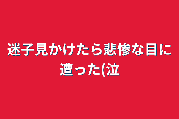 「迷子見かけたら悲惨な目に遭った(泣」のメインビジュアル