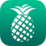 Cover Image of Download PineApp 3.6.4 APK