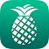 PineApp icon