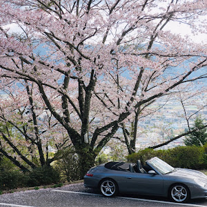 911 クーペ