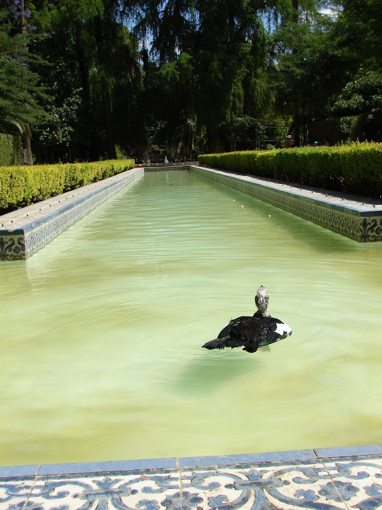 parc maria luisa séville