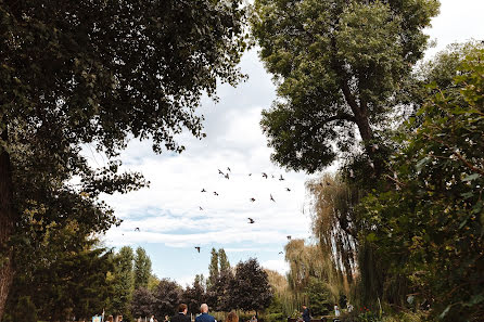 Fotografo di matrimoni Natalya Protopopova (natprotopopova). Foto del 18 febbraio 2019