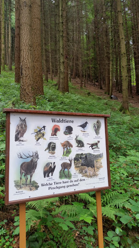 Waldtiere