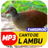 Canto De Lambu Completo icon
