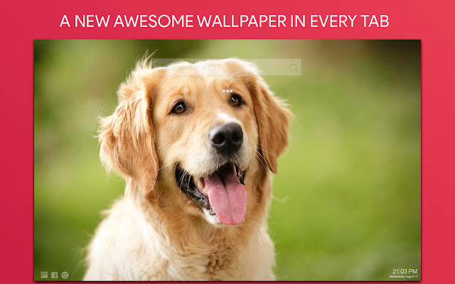 Golden Retriever Wallpaper HD Custom New Tab