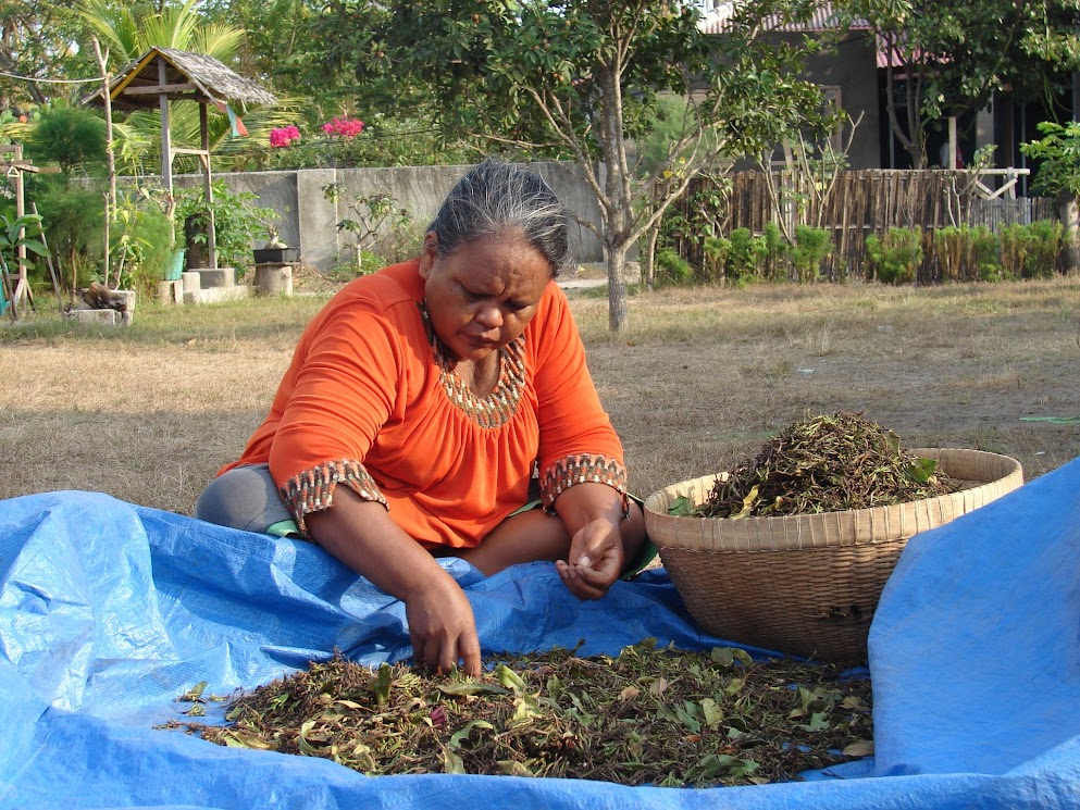 gili meno