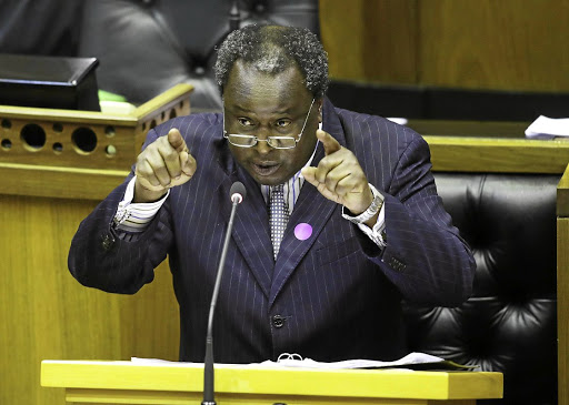 Finance minister Tito Mboweni, pictured here in parliament, posted a picture of his garden.