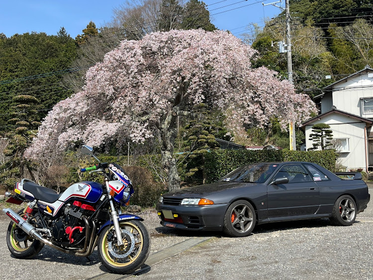 スカイライン GT-Rの愛車・ピックアップ・サクラと愛車・スカイライン・バイクに関するカスタム事例の投稿画像1枚目