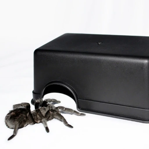 Plastic Multi-functional Reptile Hide Box Den Spawning Cave for Tortoise Snake Lizards Turtles Gecko Spiders Beetle Pets