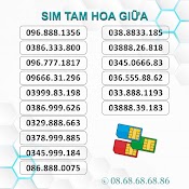 Sim Số Đẹp Tam Hoa Giữa , Sim Viettel Trả Trước, Hỗ Trợ Đăng Ký Chính Chủ