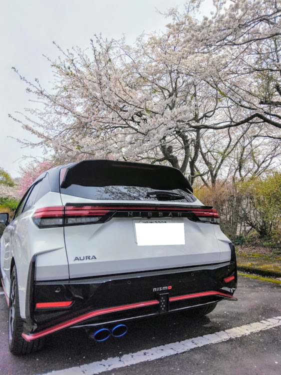 ノート オーラのサクラと愛車・いつも、いいね！有り難う御座います🙇・フロントリップ自加工に関するカスタム事例の投稿画像4枚目