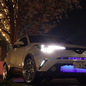 C-HR ZYX10