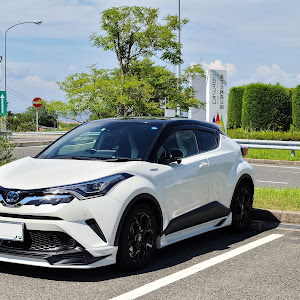 C-HR ZYX10