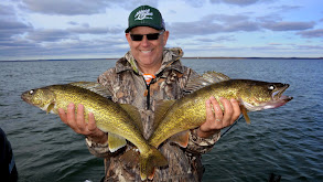 Giant Trout in Marquette thumbnail