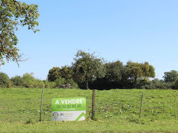 terrain à Ors (59)